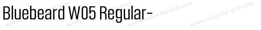 Bluebeard W05 Regular字体转换